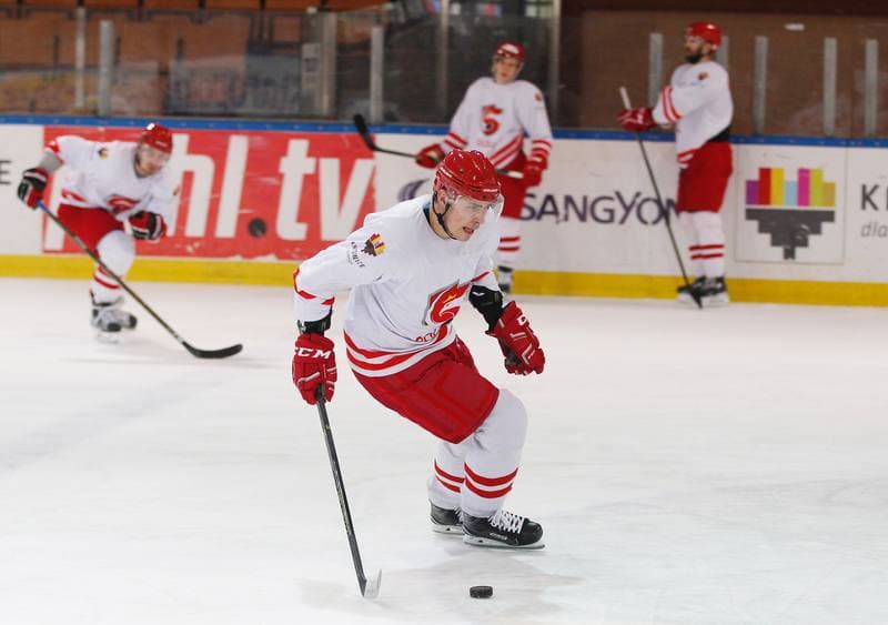 Ice Hockey. Poland national team. Training. 13.04.2016