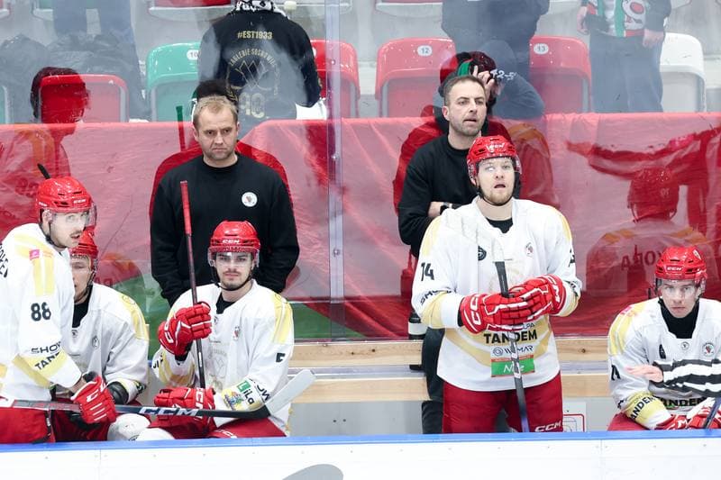 Ice Hockey. Tauron Hokej Liga. Zaglebie Sosnowiec - KH Energa Torun. 12.01.2024