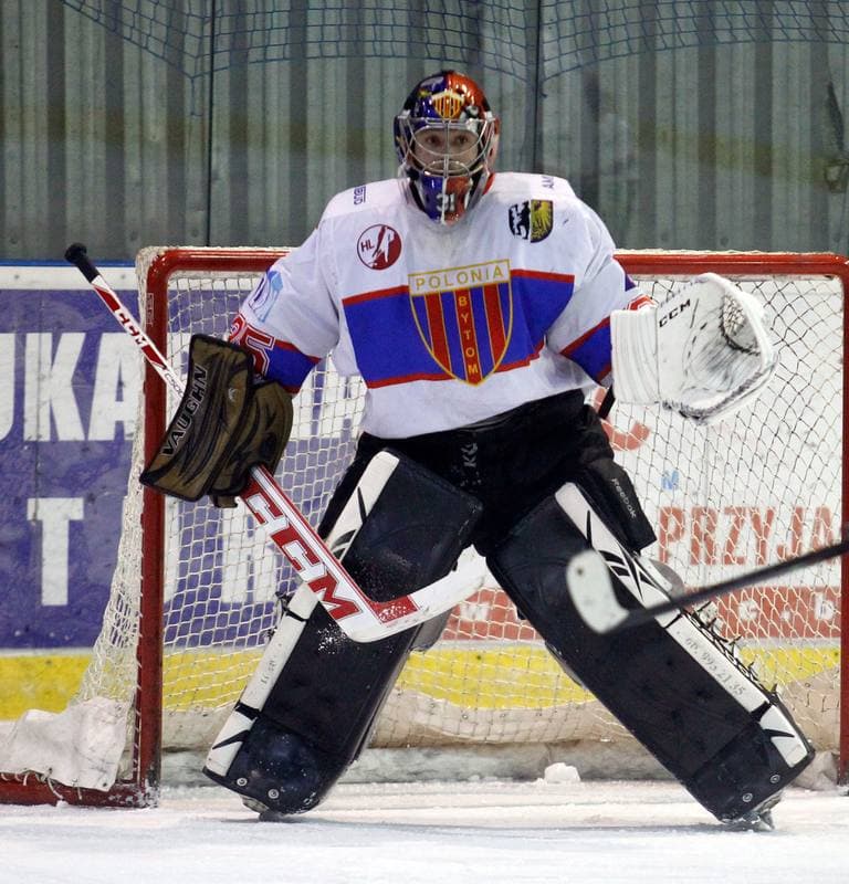 Ice Hockey. Polska Hokej Liga. Polonia Bytom - JKH GKS Jastrzebie. 14.12.2014