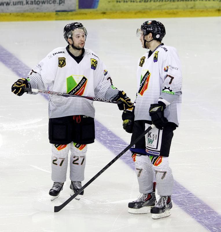 Ice Hockey. Polska Hokej Liga. Naprzod Janow - Ciarko KH Sanok. 18.01.2015