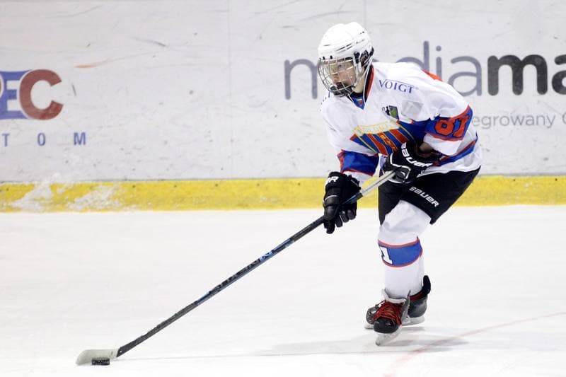 Ice Hockey. PLHK. Polonia Bytom - Atomowki Tychy. 27.01.2017