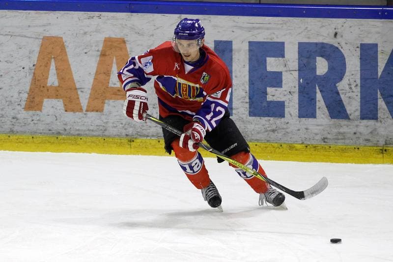 Ice Hockey. Polska Hokej Liga. Anteo Naprzod Janow - Polonia Bytom. 30.01.2018