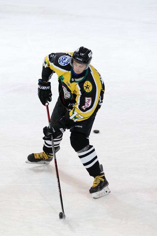Ice Hockey. Polska Hokej Liga. GKS Katowice - JKH GKS Jastrzebie. 16.10.2016