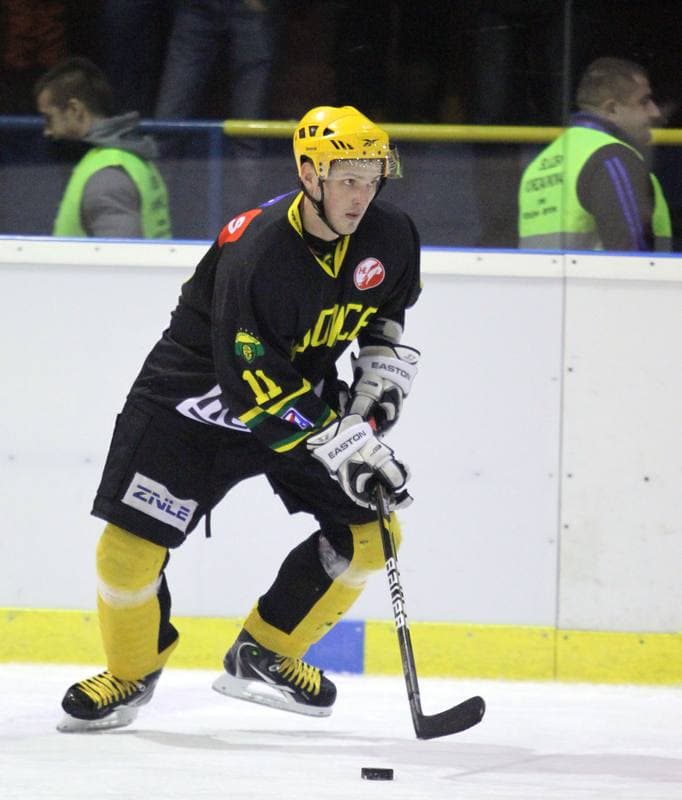Ice Hockey. Polska Hokej Liga. Polonia Bytom - HC GKS Katowice. 31.10.2013