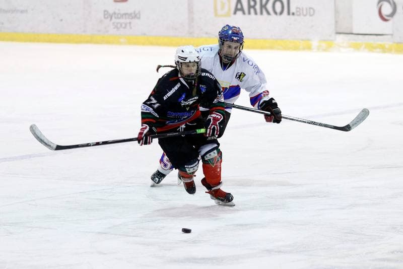 Ice Hockey. PLHK. Polonia Bytom - Atomowki Tychy. 27.01.2017