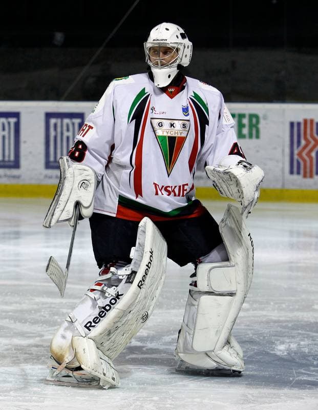 Ice Hockey. Polska Hokej Liga. GKS Tychy - Ciarko KH Sanok. 23.01.2015