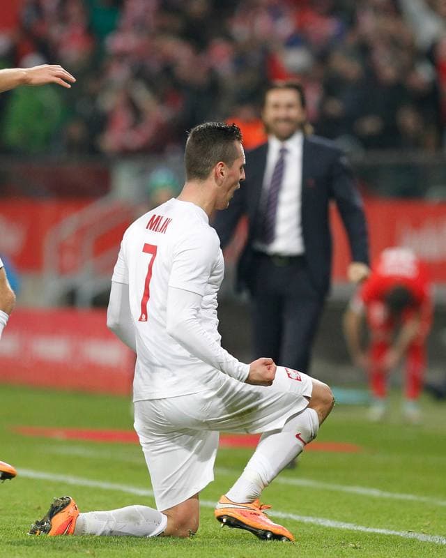 Football. International Friendly. Poland - Switzerland. 18.11.2014