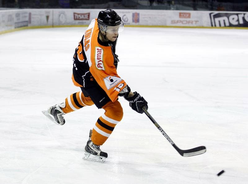Ice Hockey. Polska Hokej Liga. GKS Tychy - JKH GKS Jastrzebie. 30.11.2014