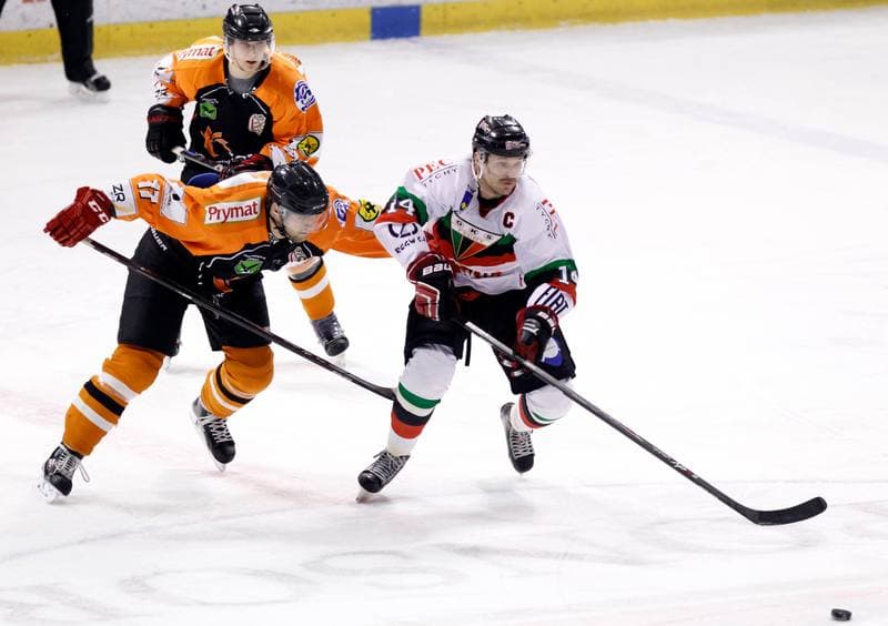 Ice Hockey. Polska Hokej Liga. GKS Tychy - JKH GKS Jastrzebie. 30.11.2014