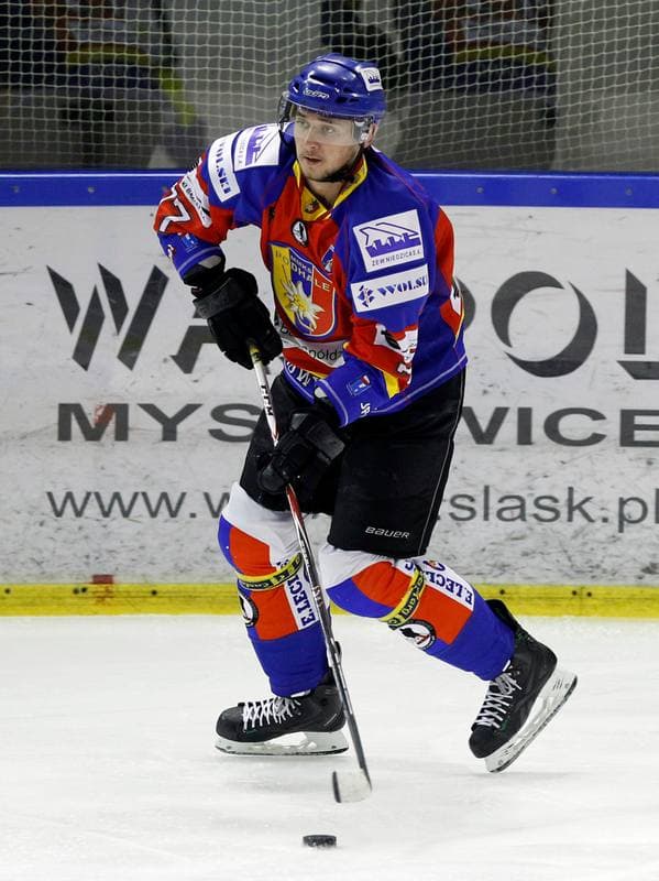 Ice Hockey. Polska Hokej Liga. Naprzod Janow - Podhale Nowy Targ. 14.11.2014