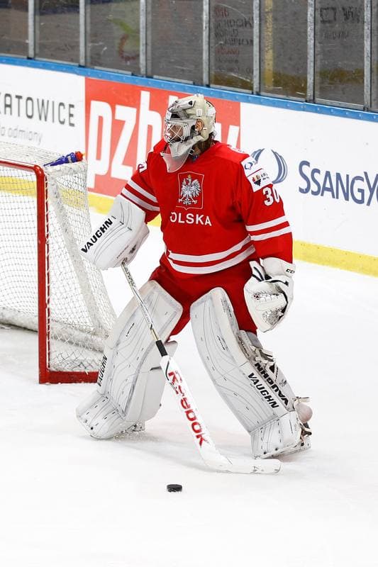 Ice Hockey. EIHC. Kazakhstan - France. 17.12.2015