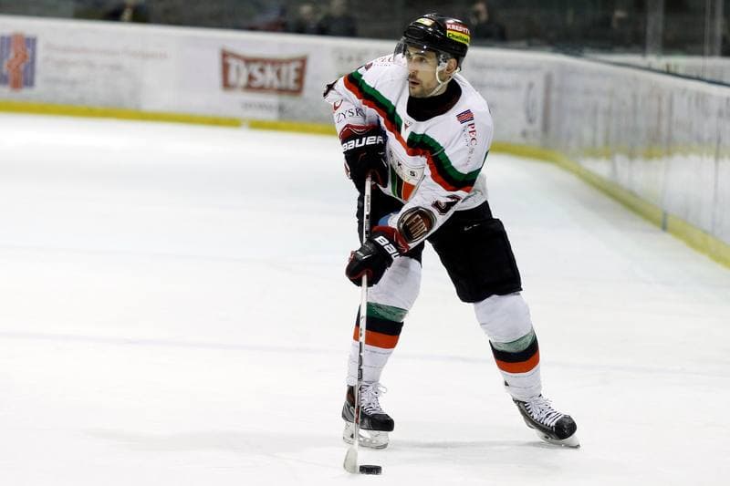 Ice Hockey. Polska Hokej Liga. GKS Tychy - Ciarko STS Sanok. 15.01.2016