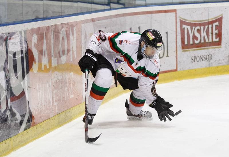 Ice Hockey. Polska Hokej Liga. GKS Tychy - Tatryski Podhale Nowy Targ. 01.03.2016