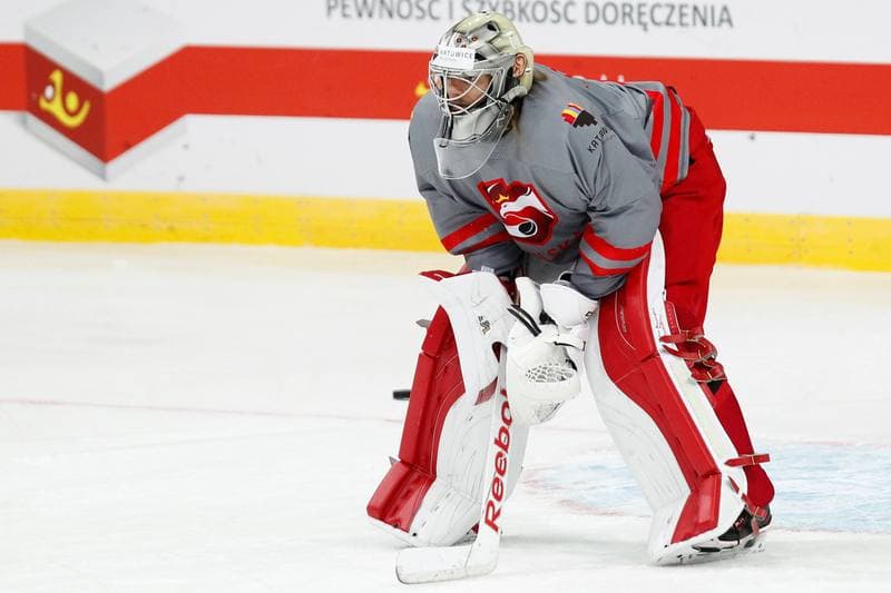 Ice Hockey. Poland national team. Training. 24.04.2016