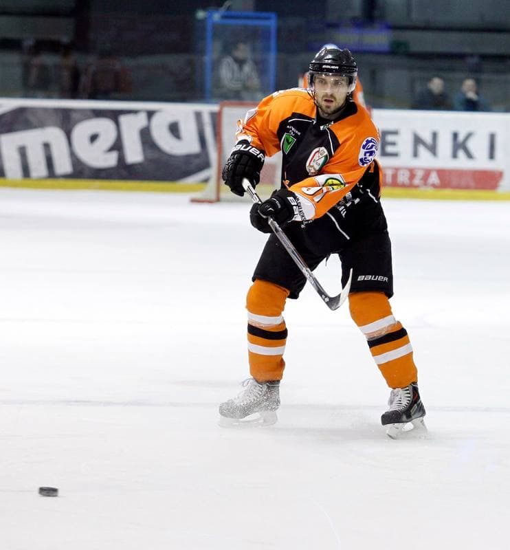 Ice Hockey. Polska Hokej Liga. GKS Tychy - JKH GKS Jastrzebie. 30.11.2014