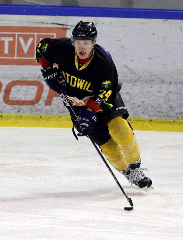 Ice Hockey. Polska Hokej Liga. Naprzod Janow - HC GKS Katowice. 06.01.2015