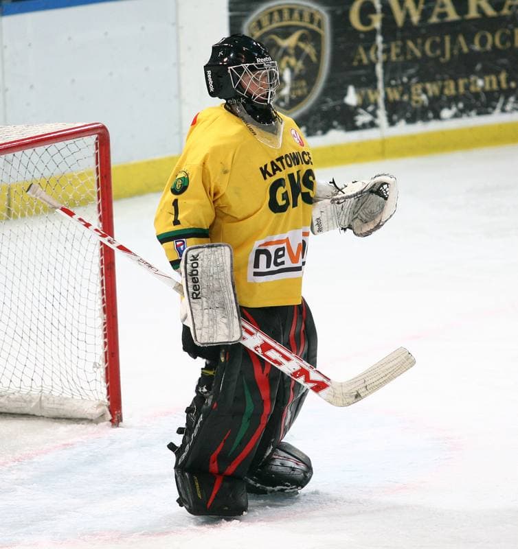 Ice Hockey. Polska Hokej Liga. HC GKS Katowice - Comarch Cracovia Krakow. 15.10.2013