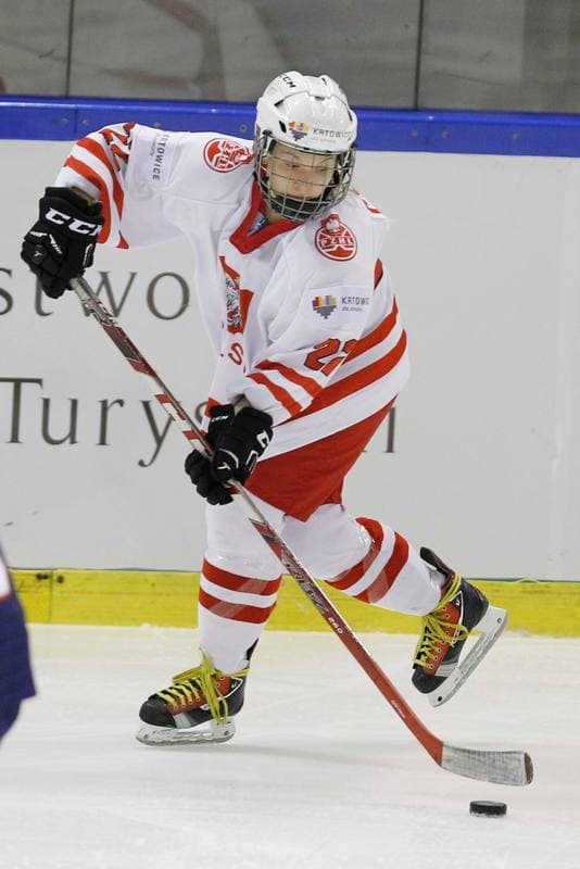 Ice Hockey. Women's World Championship. Poland - Slovakia. 08.04.2017