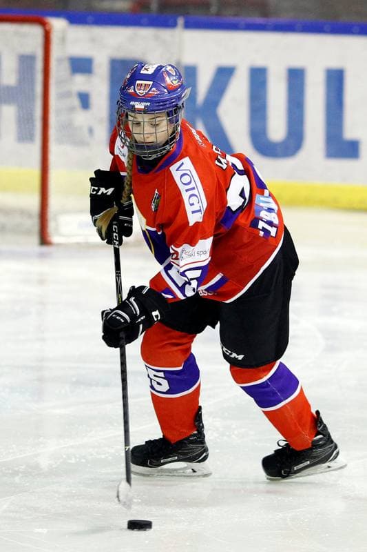 Ice Hockey. PLHK. Naprzod Janow - Polonia Bytom. 24.02.2018