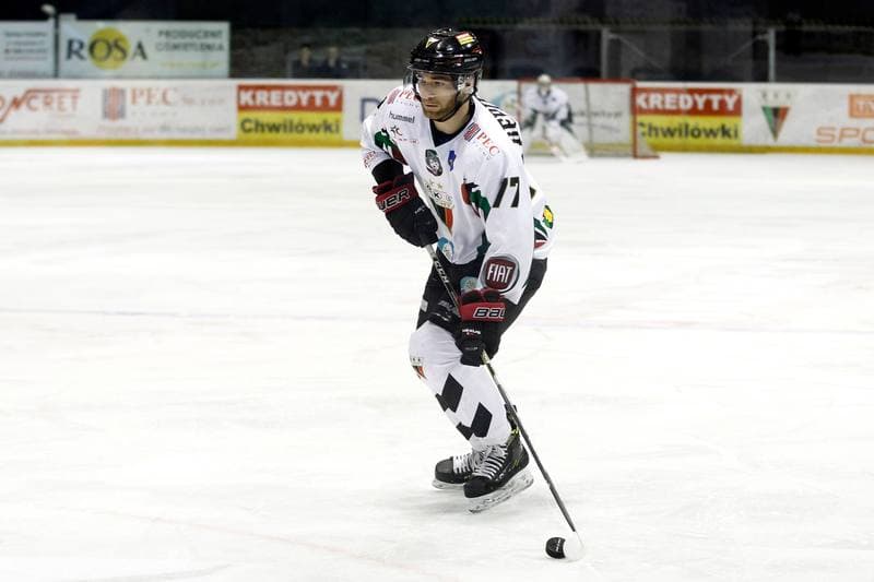 Ice Hockey. Polska Hokej Liga. GKS Tychy - Tempish Polonia Bytom. 06.12.2016