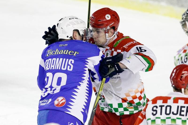Ice Hockey. Polska Hokej Liga. Zaglebie Sosnowiec - Unia Oswiecim. 01.02.2019