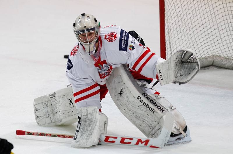 Ice Hockey. International Friendly Match. Poland - Lithuania. 14.04.2016