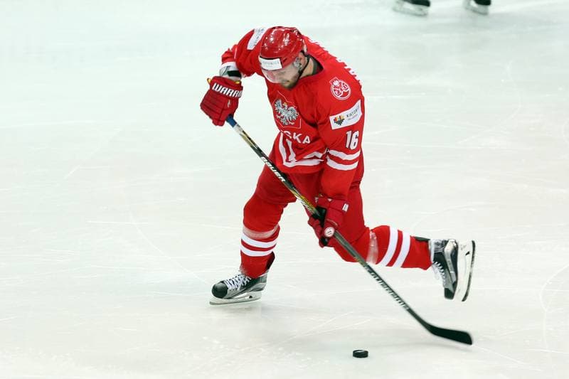 Ice Hockey. World Championship Division 1A. Poland - Korea. 24.04.2016