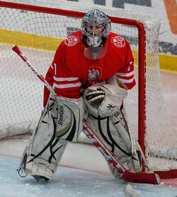 Ice Hockey. Women's International Friendly. Poland - Hungary. 18.01.2014