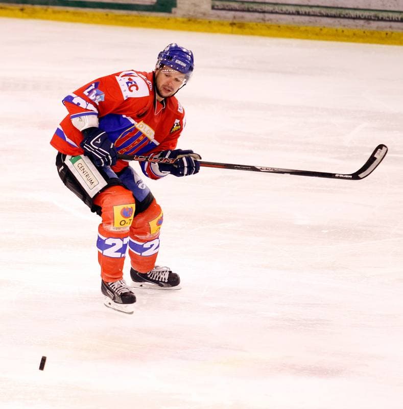 Ice Hockey. Polska Hokej Liga. Naprzod Janow - Polonia Bytom. 02.11.2014