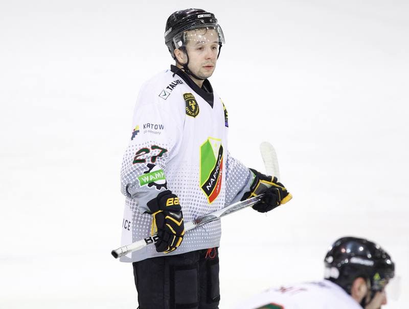 Ice Hockey. Polska Hokej Liga. Naprzod Janow - Polonia Bytom. 02.11.2014