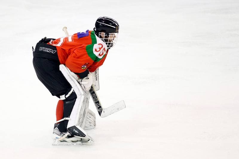 Ice Hockey. I Liga. Naprzod Janow - Zaglebie Sosnowiec. 22.01.2017
