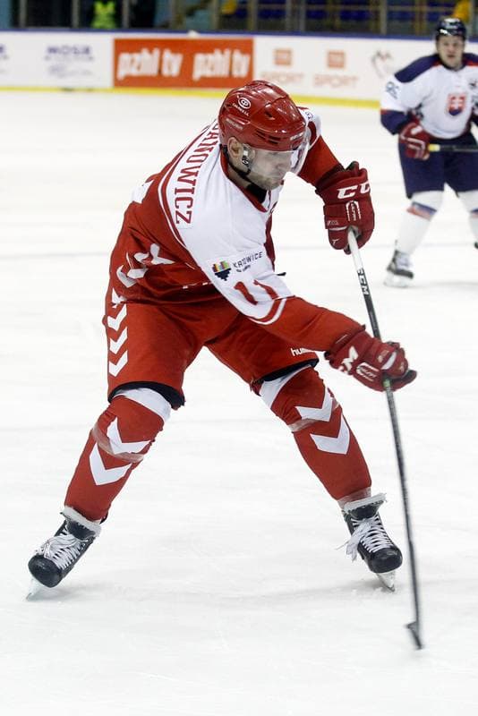 Ice Hockey. International Friendly Match. Poland - Slovakia B. 07.04.2017