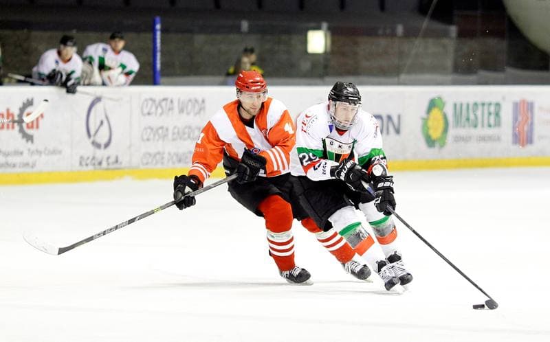Ice Hockey. Polska Hokej Liga. GKS Tychy - Comarch Cracovia Krakow. 19.01.2014