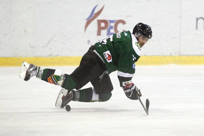 Ice Hockey. Polska Hokej Liga. Polonia Bytom - Naprzod Janow. 10.09.2017
