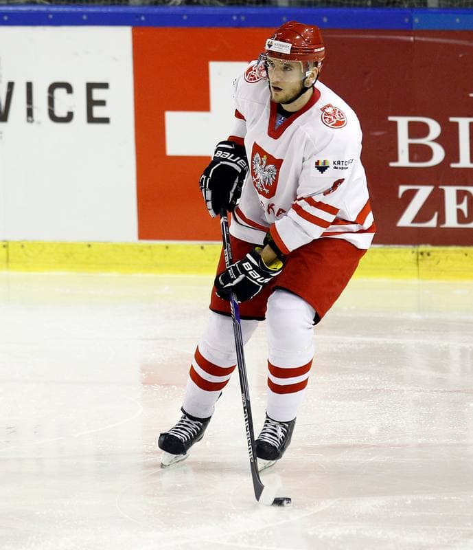Ice Hockey. Euro Ice Hockey Challenge. Poland - Slovenia. 05.11.2015