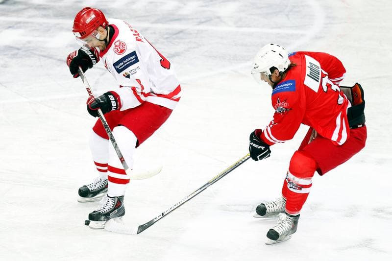 Ice Hockey. Friendly Match. Poland - Stars of PHL. 06.02.2016