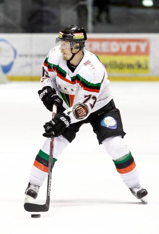 Ice Hockey. Polska Hokej Liga. GKS Tychy - Tatryski Podhale Nowy Targ. 01.03.2016