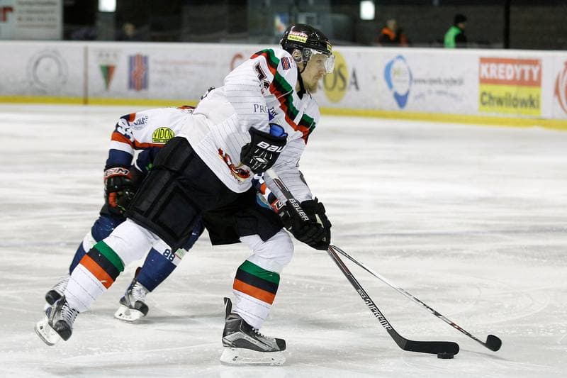 Ice Hockey. Polska Hokej Liga. GKS Tychy - Ciarko STS Sanok. 15.01.2016
