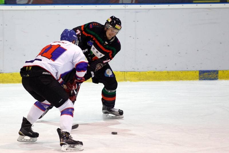 Ice Hockey. Tauron Hokej Liga. Polonia Bytom - GKS Tychy. 23.02.2016