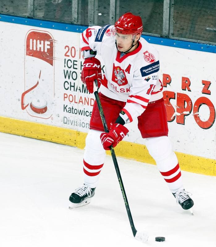 Ice Hockey. International Friendly Match. Poland - Lithuania. 14.04.2016