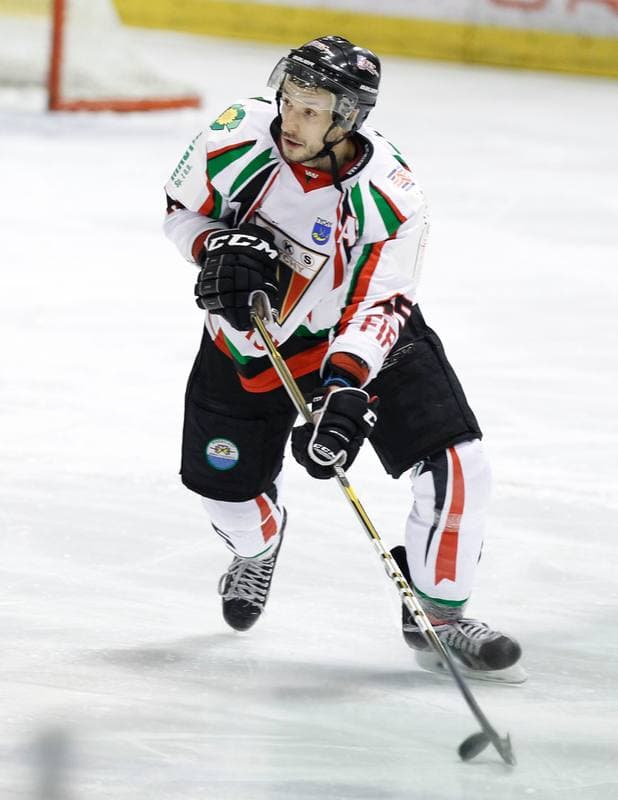 Ice Hockey. Polska Hokej Liga. GKS Tychy - Comarch Cracovia Krakow. 19.01.2014