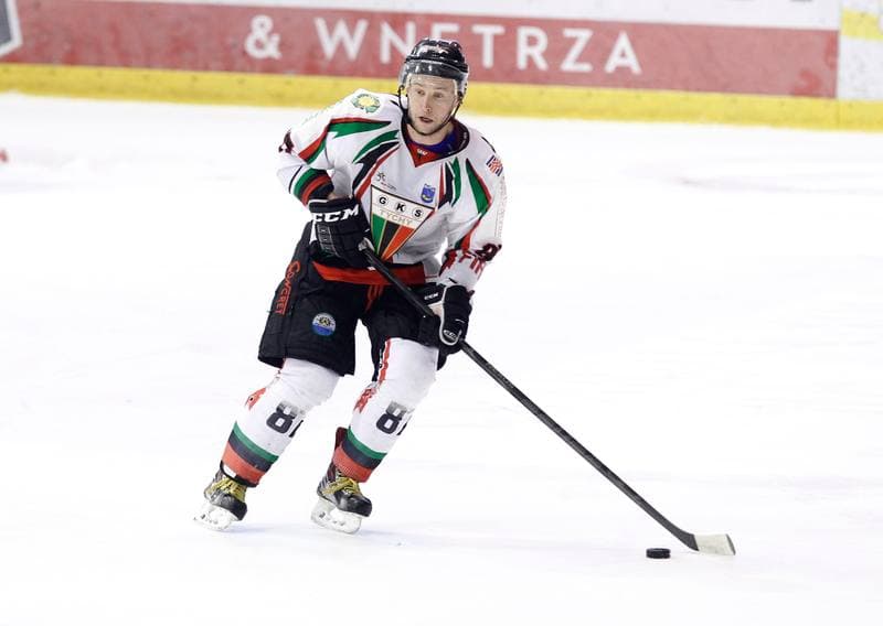 Ice Hockey. Polska Hokej Liga. GKS Tychy - Comarch Cracovia Krakow. 19.01.2014