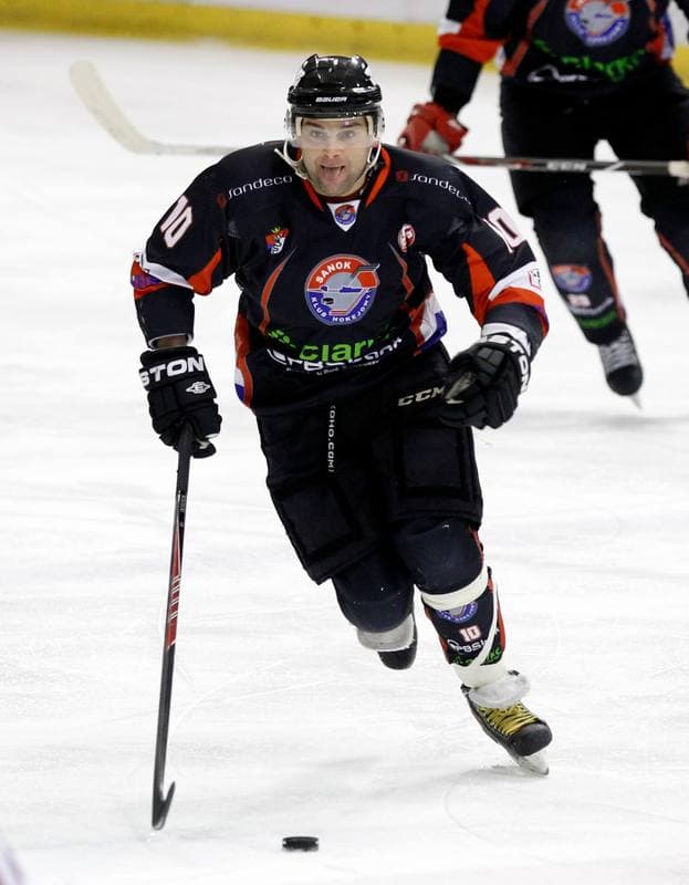 Ice Hockey. Polska Hokej Liga. GKS Tychy - Ciarko KH Sanok. 23.01.2015