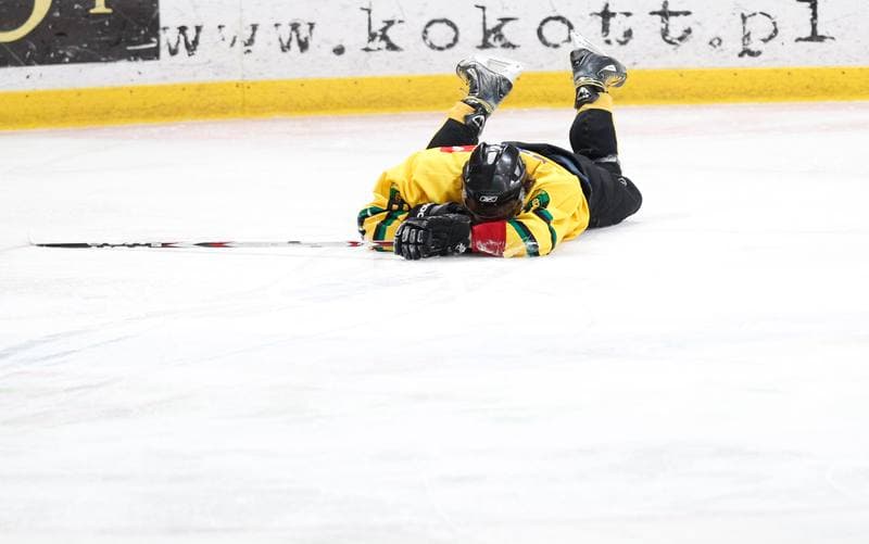 Ice Hockey. Tauron Hokej Liga. HC GKS Katowice - Polonia Bytom. 02.01.2015