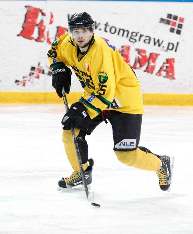 Ice Hockey. Tauron Hokej Liga. HC GKS Katowice - Polonia Bytom. 02.01.2015