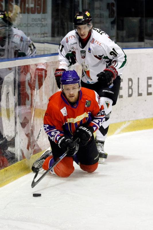 Ice Hockey. Polska Hokej Liga. GKS Tychy - Tempish Polonia Bytom. 22.01.2017