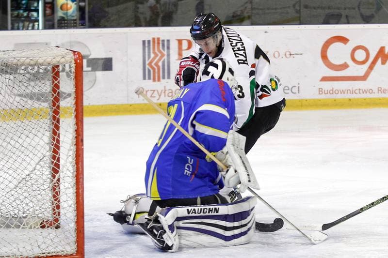 Ice Hockey. Polska Hokej Liga. GKS Tychy - Orlik Opole. 13.01.2017