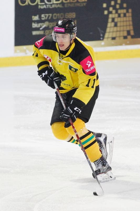 Ice Hockey. Tauron Hokej Liga. Tauron KH GKS Katowice - Unia Oswiecim. 03.02.2017