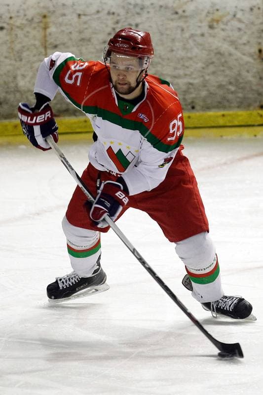Ice Hockey. I Liga. Zaglebie Sosnowiec - Academy 1928 KTH Krynica. 10.02.2018