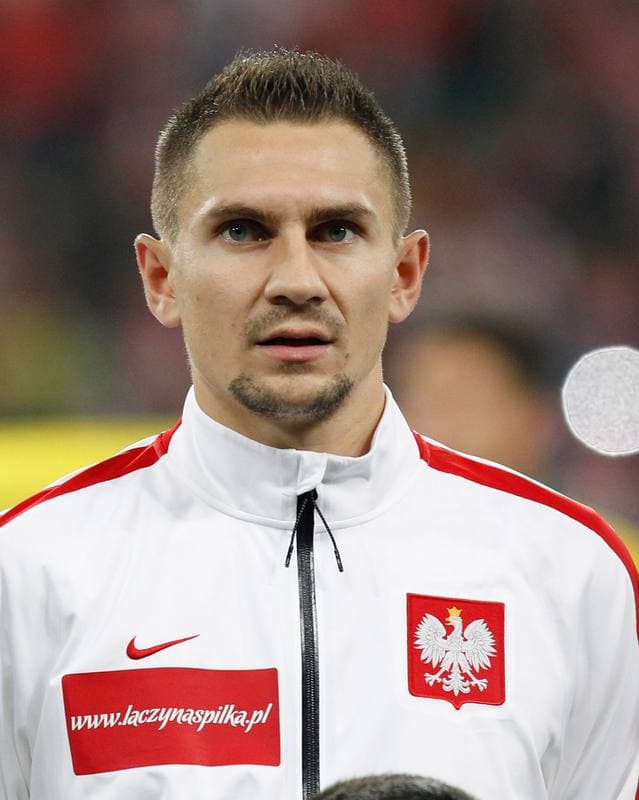 Football. International Friendly. Poland - Switzerland. 18.11.2014